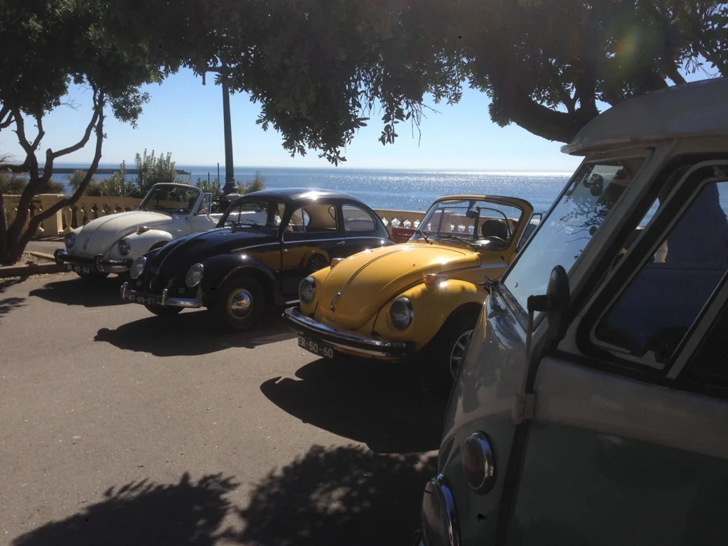 imgi_12_IMG-3326-scaled