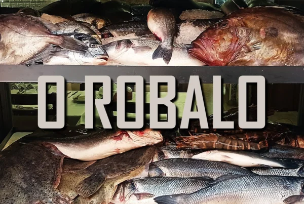 Atlântico no Prato – Tour do Centro ao Atlântico + O Robalo