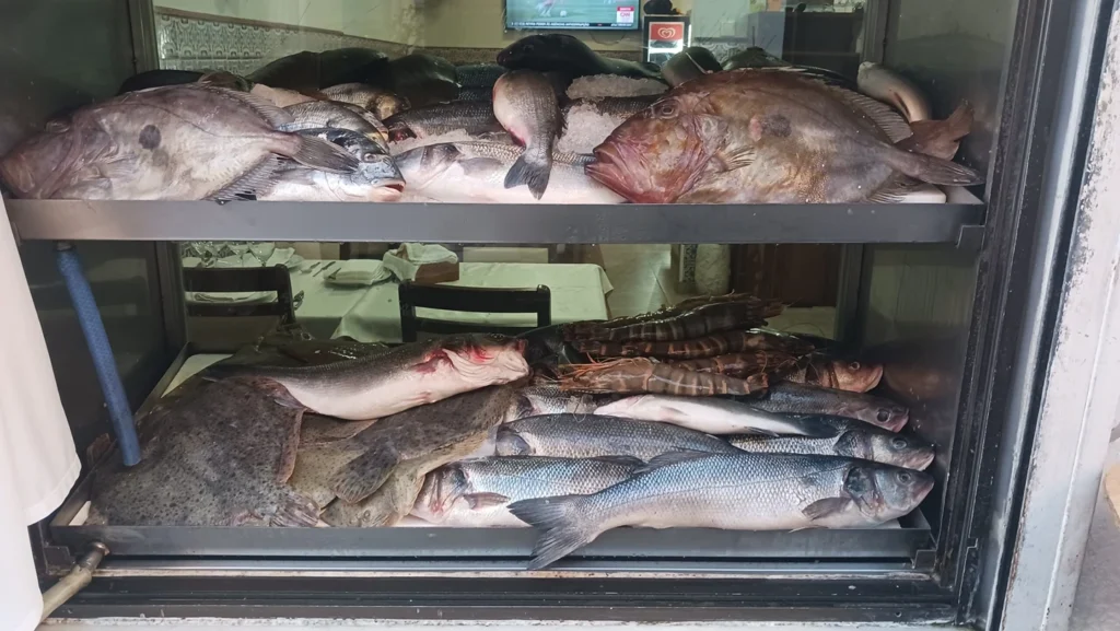 imgi_9_20250724_203523-scaled